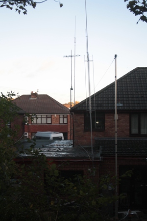 antennae from rear woodland